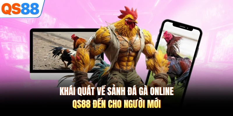 Khái quát về sảnh đá gà online QS88 đến cho người mới